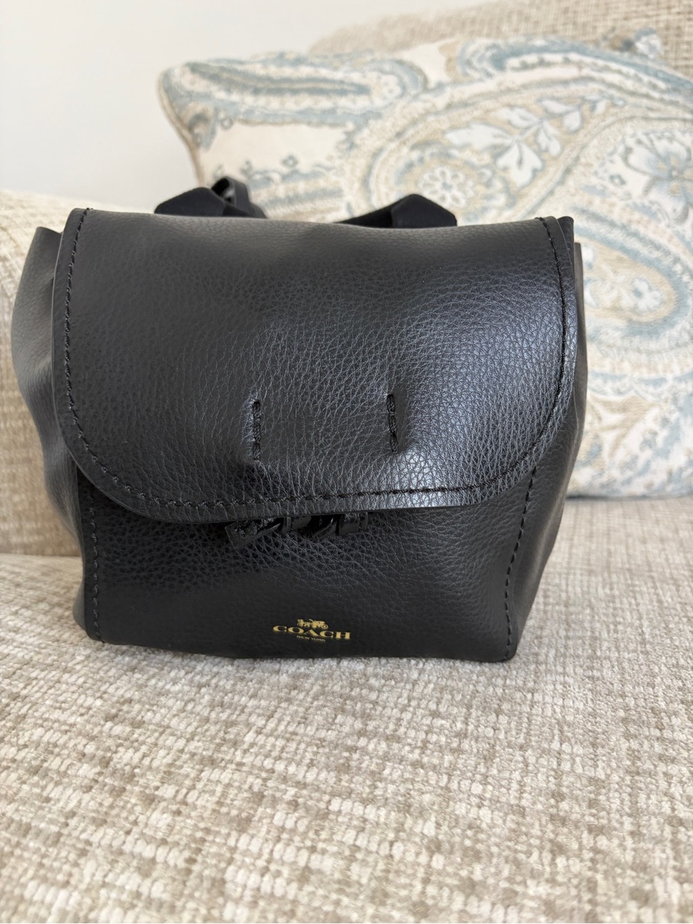 Coach Derby Mini Backpack